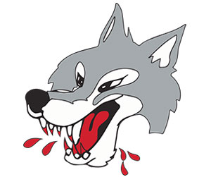 Sudbury Wolves